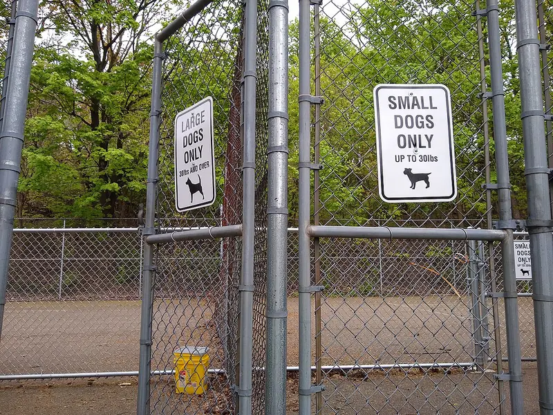 Photo of None
