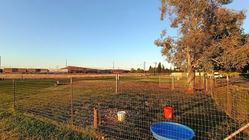 Photo of Foskett Dog Park