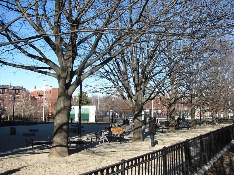Photo of Joe Wex Dog Recreation Space