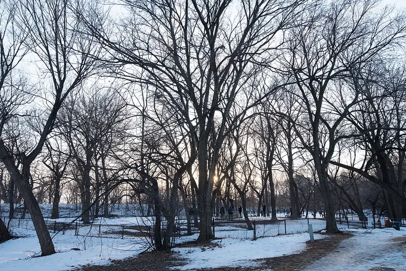 Photo of Lake of the Isles Off-Leash Dog Park
